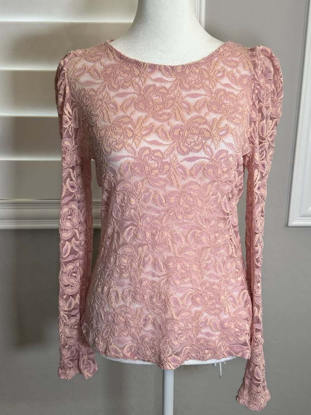 Allegra K Women's Long Sleeve Blouse Vintage Semi Sheer Puff Sleeve Elegant Lace
